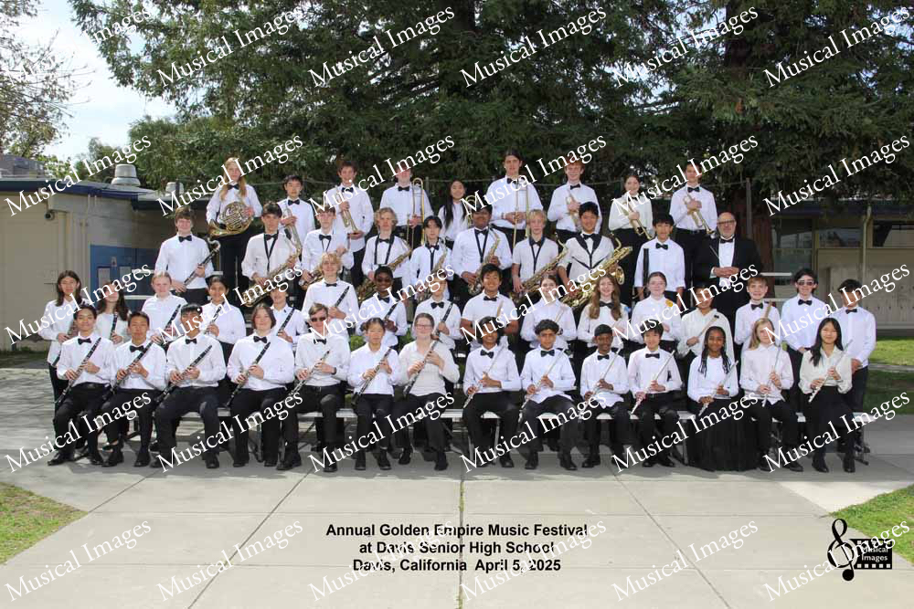 Musical Images
